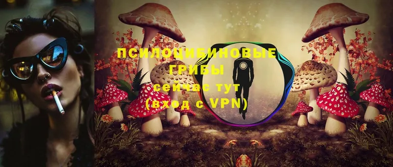 Псилоцибиновые грибы Psilocybe  Клин 